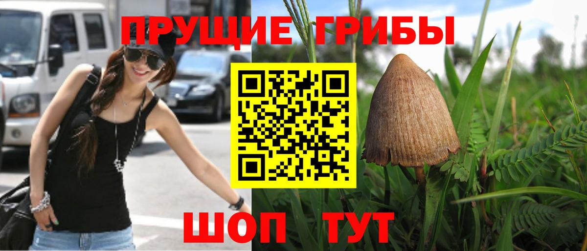 Губаха  Псилоцибиновые грибы прущие грибы  Вход с VPN 